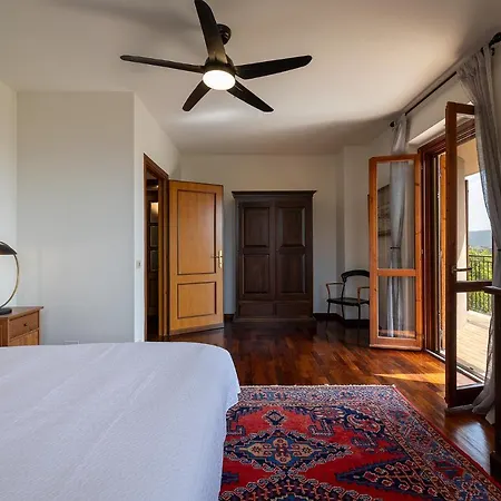 Degli Olivi Is Located In