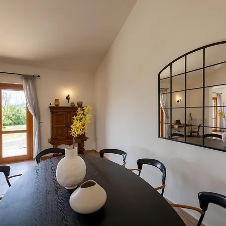 Degli Olivi Is Located In