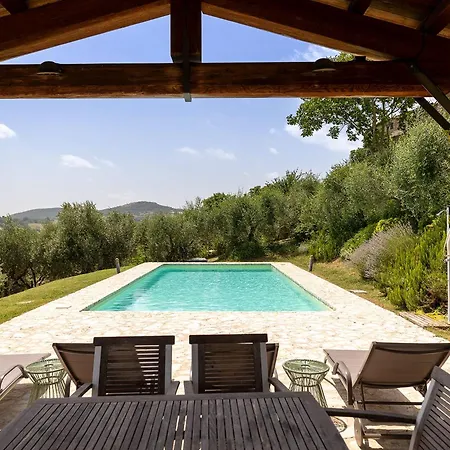 Degli Olivi Is Located In Villa *