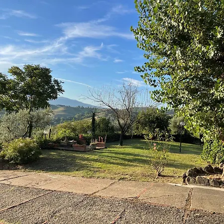 Villa Degli Olivi Is Located In
