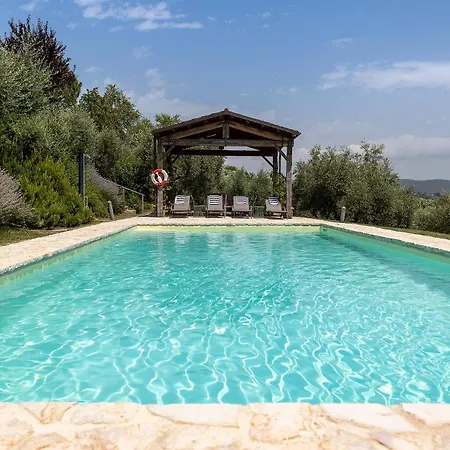 Villa Degli Olivi Is Located In *